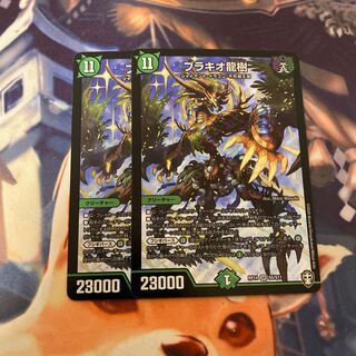 ブラキオ龍樹 2枚