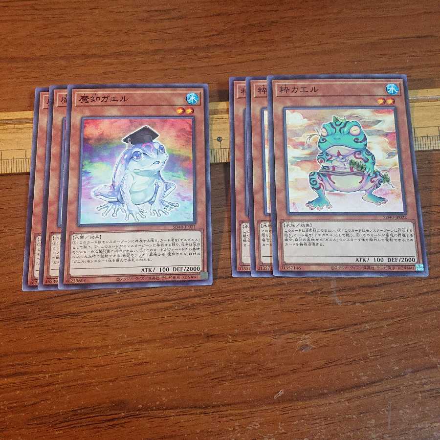 魔知ガエル 粋カエル 各3枚