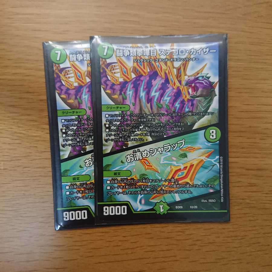 ステゴロカイザー