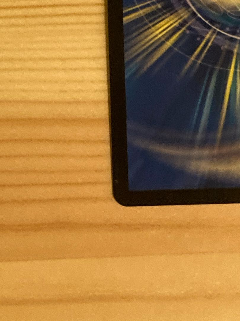 偽りの王 ヴィルヘルム