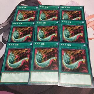 韓国　ハーピィの羽根帚 ノーマル