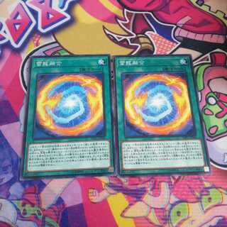 雷龍融合 ノーマル　2枚