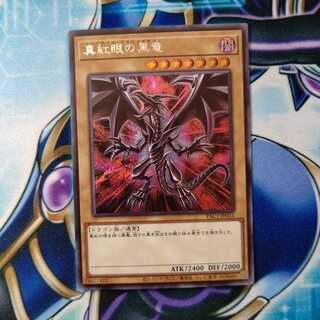 真紅眼の黒竜 シークレットレア 絵違い