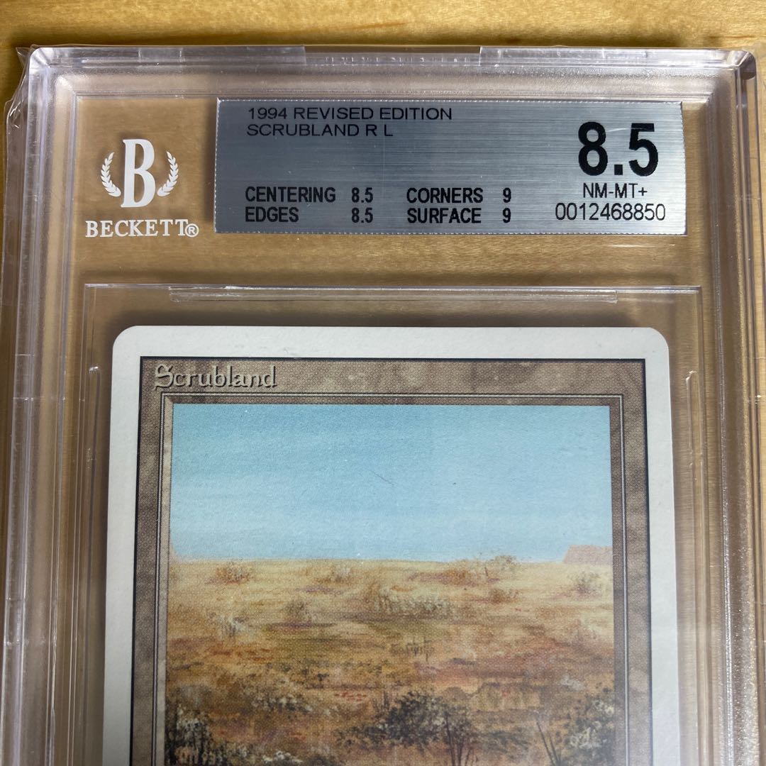 Scrubland 3ED BGS8.5 1枚