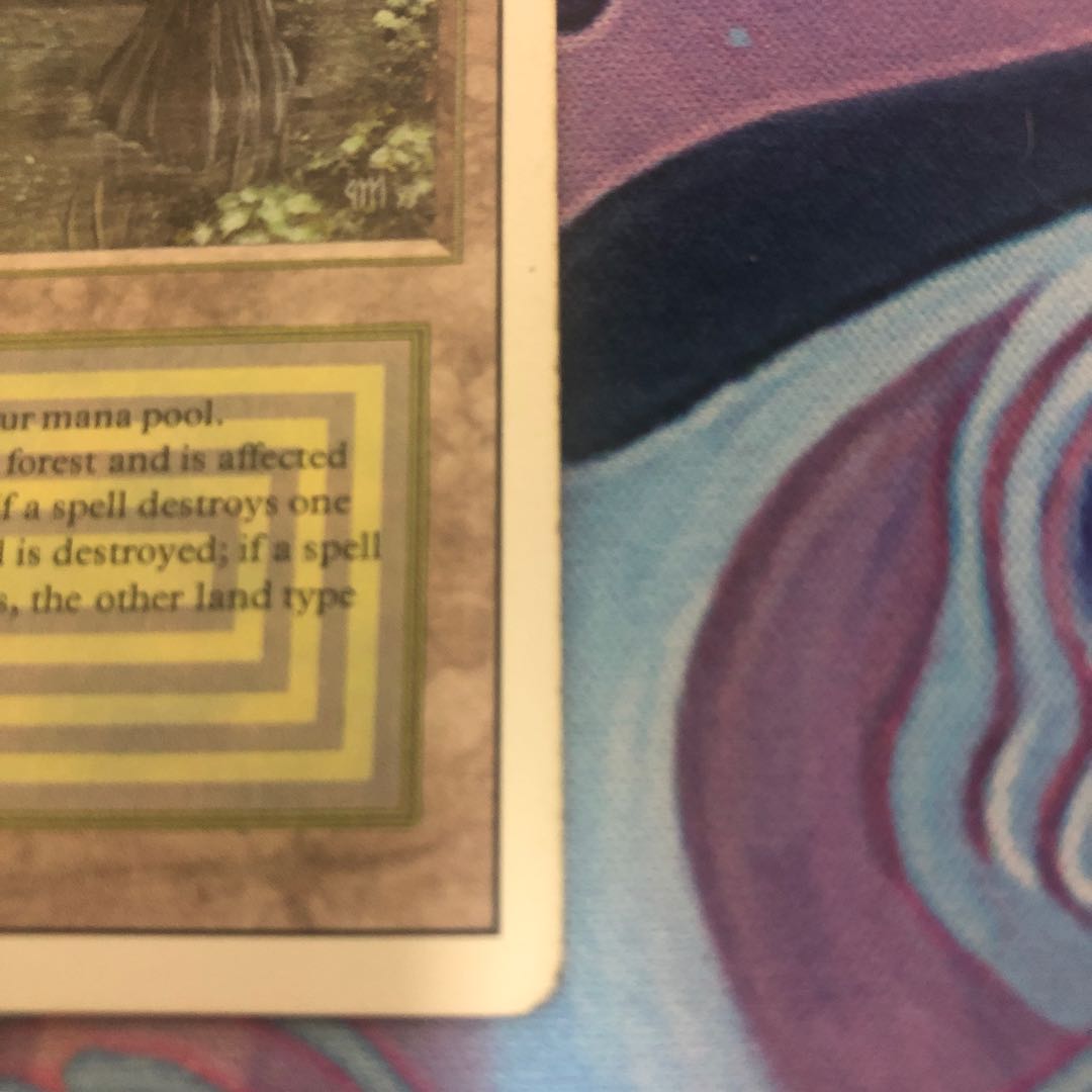 Bayou リバイズド