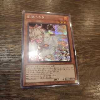 灰流うらら シークレットレア　PAC1-JP016