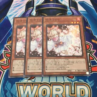 灰流うらら　　スーパー