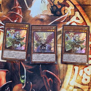 憑依装着-ライナ シークレットレア　ウルトラレア