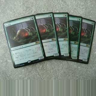 Scavenging Ooze Rare foil M21 5 copies