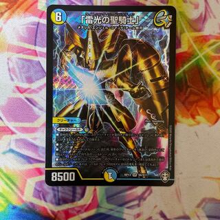 「雷光の聖騎士」