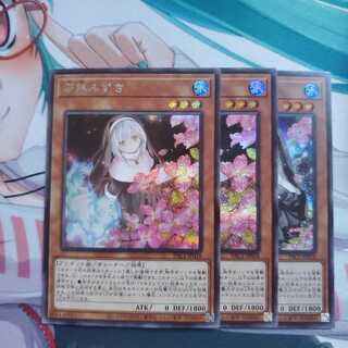 遊戯王 儚無みずき シークレットレア PACセット