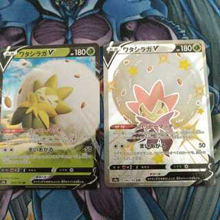 ワタシラガV セット