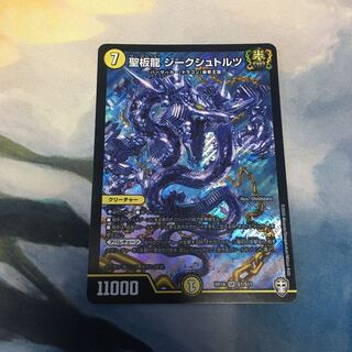 聖板龍 ジークシュトルツ　1枚