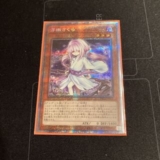 浮幽さくら(海外版イラスト)