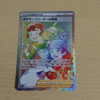 Training Pokemon Breeder HR