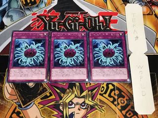 バージェストマ・ディノミスクス EP16 レア 3枚セット てら