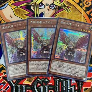 憑依装着-ライナ 絵違い シク