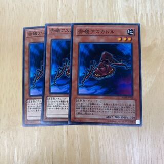 赤蟻アスカトル ノーマル