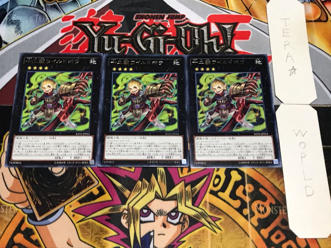 十二獣ワイルドボウ レア 3枚セット てら