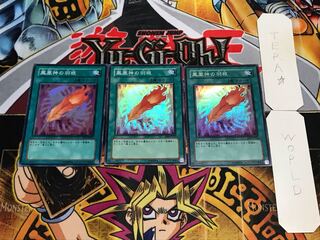 鳳凰神の羽根 スーパー 3枚セット てら