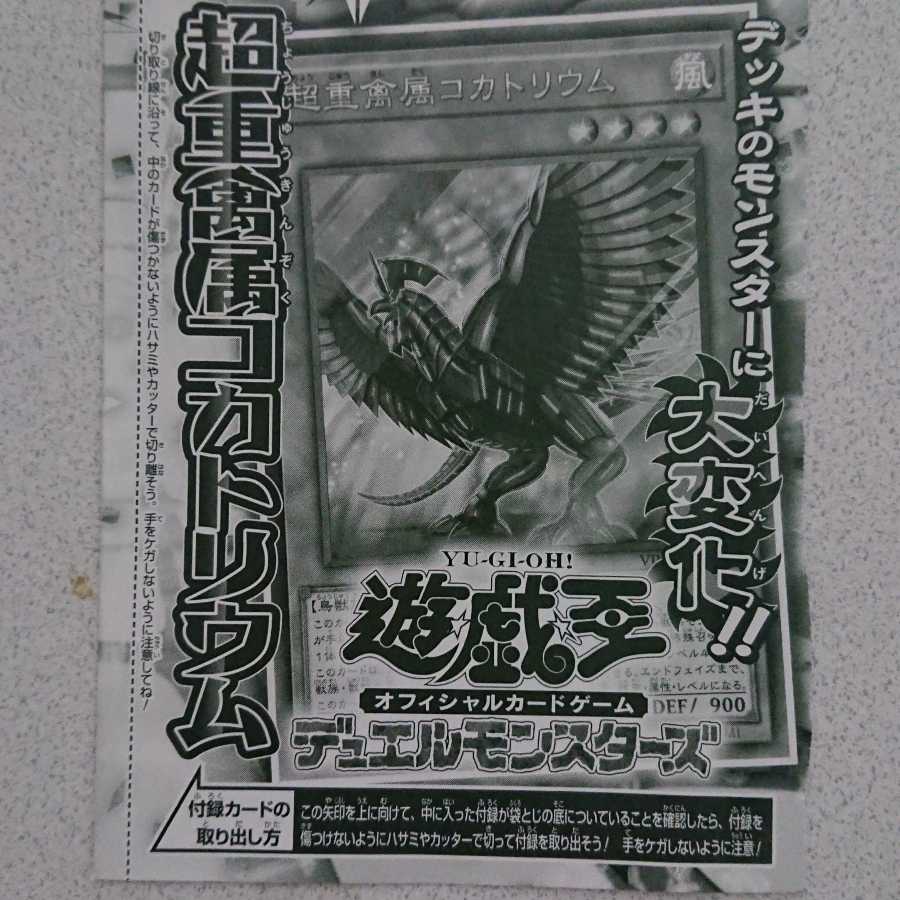 超重禽属コカトリウム 未開封