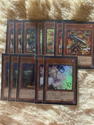 多分今一番安定してそうな真竜デッキ