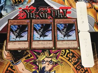 D.D.クロウ ゴールド 3枚セット てら