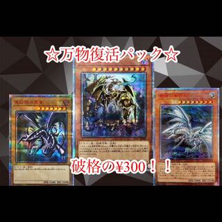 こしょう様専用 1枚