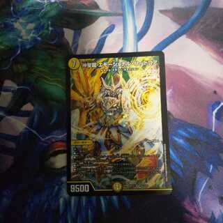 神聖龍 エモーショナル・ハードコア SR