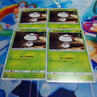 Foongus Set of 4 Miracle Twin