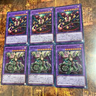 遊戯王★スターヴ・ヴェノム・フュージョン・ドラゴン、ドラゴスタペリア★各三枚