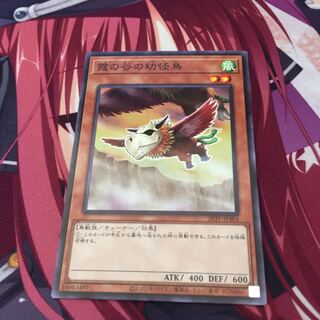 霞の谷の幼怪鳥