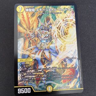 神聖龍 エモーショナル・ハードコア