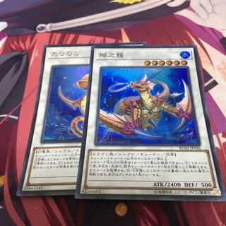 コーラル　たつのこ