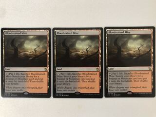 血染めのぬかるみ　英語版　三枚