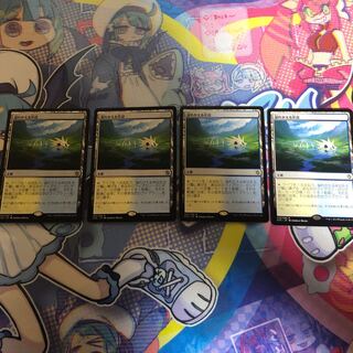 送料込み　溢れかえる岸辺×4 KTK 日本語版