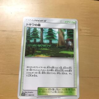 2点購入でおまけ！トキワの森