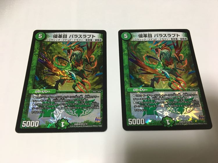 侵革目 パラスラプト 2枚