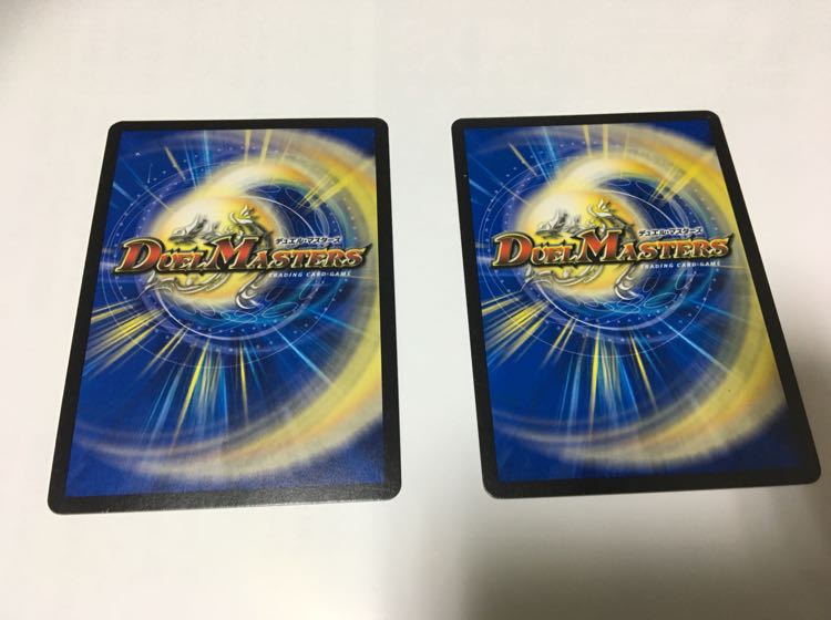 侵革目 パラスラプト 2枚