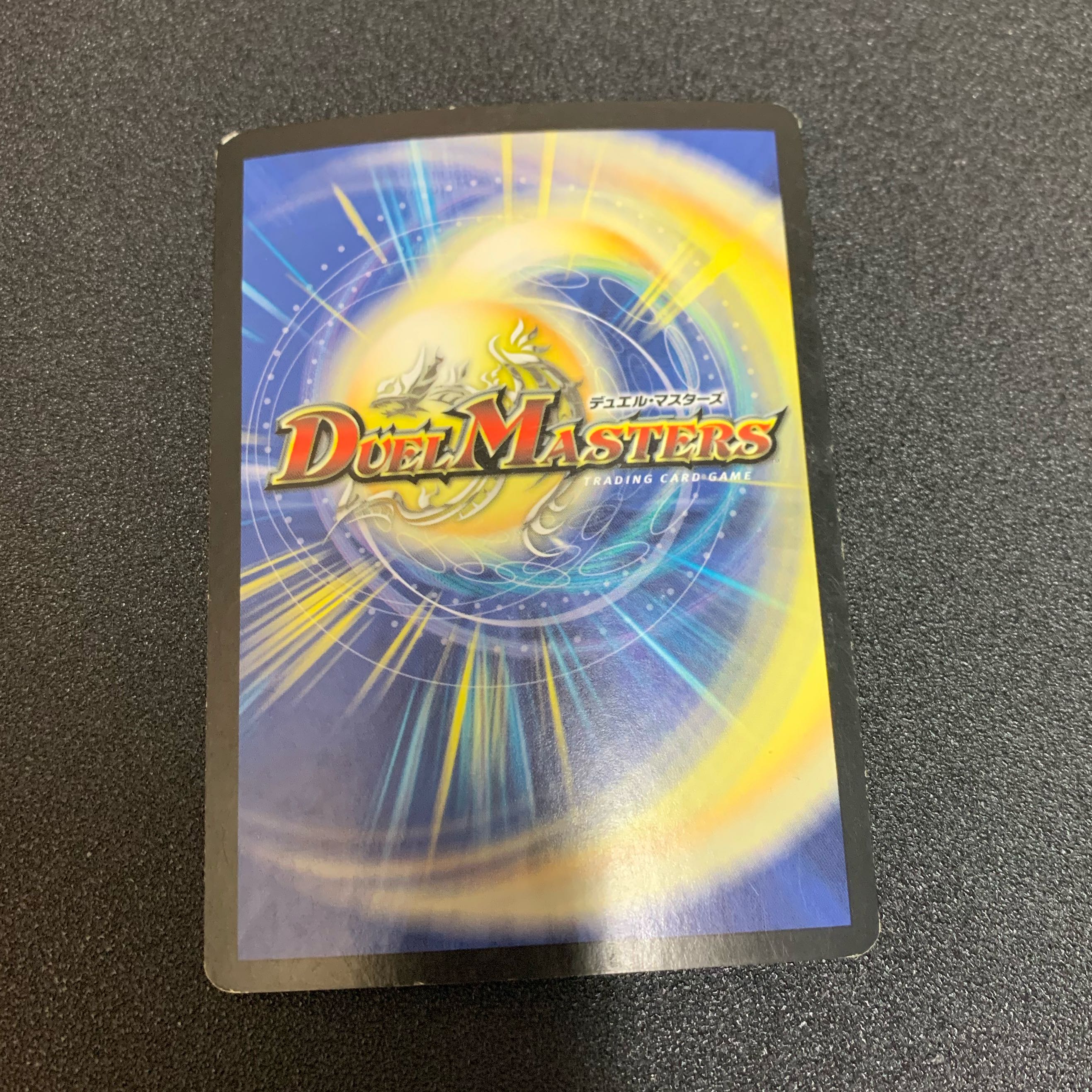 クリスタルパラディン イタリア語