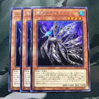 揺海魚デッドリーフ レア