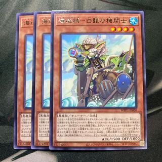 海造賊-白髭の機関士 レア