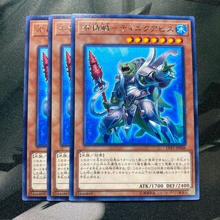 水精鱗-ディニクアビス レア