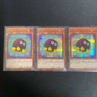 クリボー　シク　絵違い3枚【PAC1-JP010】