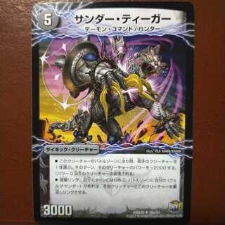 old4793 set discount Zapdos Tiger｜Lightning beast Volg Tiger (bottom)