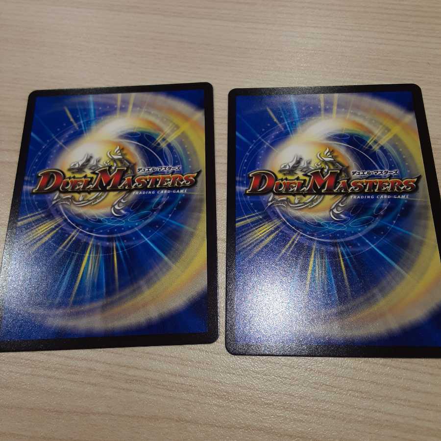 闘争類拳嘩目 ステゴロ・カイザー｜お清めシャラップ