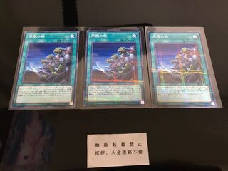 同胞の絆 ノーパラ ３枚 セット