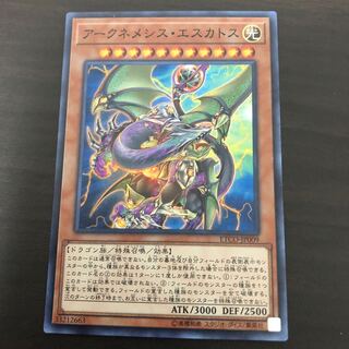 アークネメシス・エスカトス