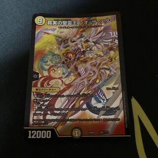 真実の聖霊王 レオ・ザ・スター