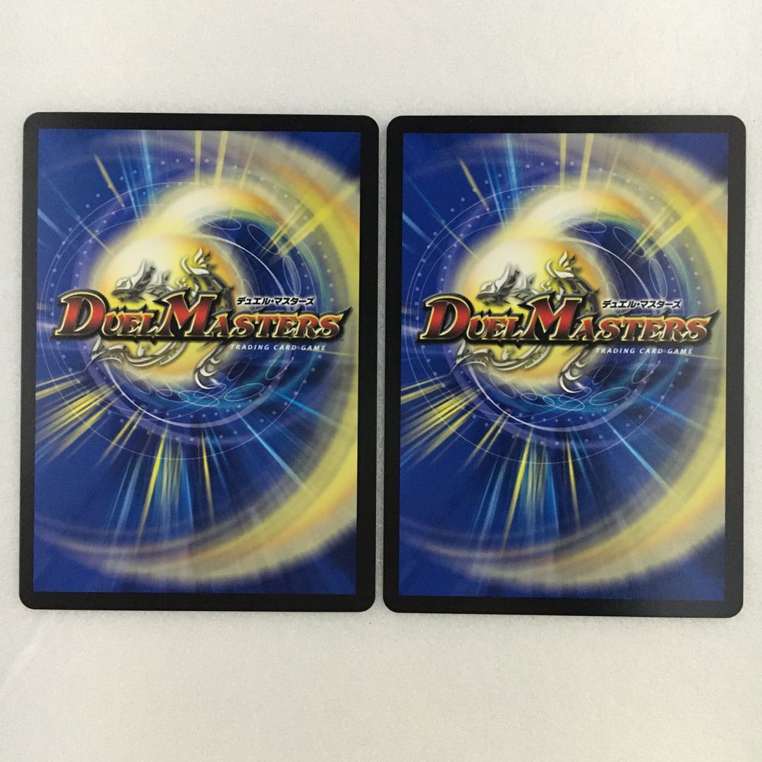 闘争類拳嘩目 ステゴロ・カイザー|お清めシャラップ